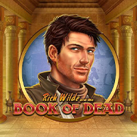 Book of dead casinodealen