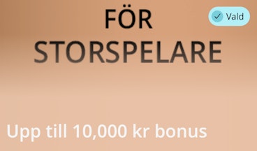 Casino bonus hos Storspelare