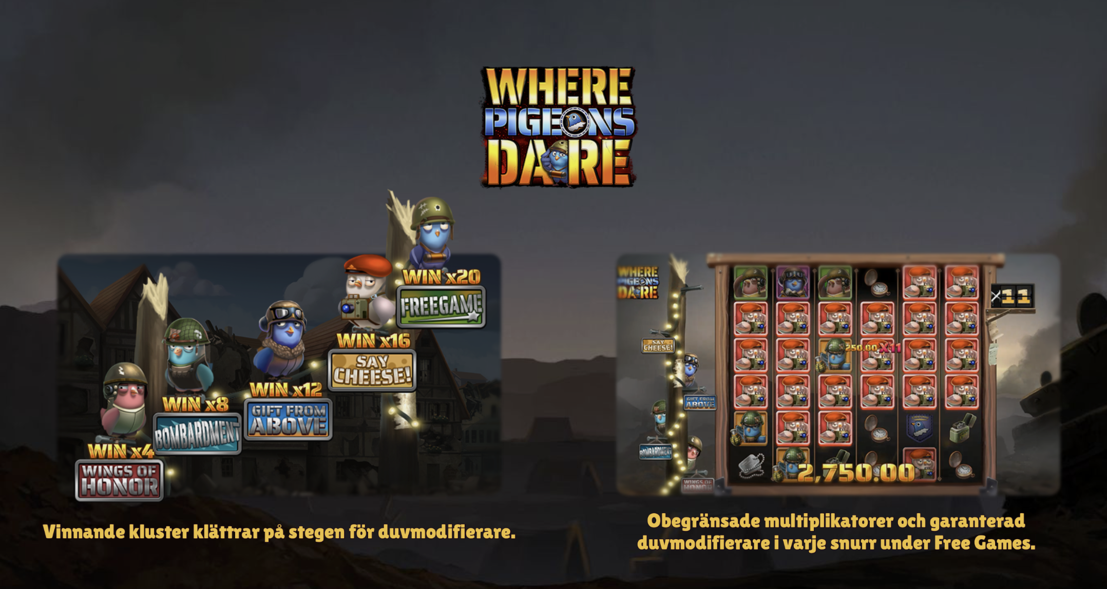 Intro for Where Pigeons Dare