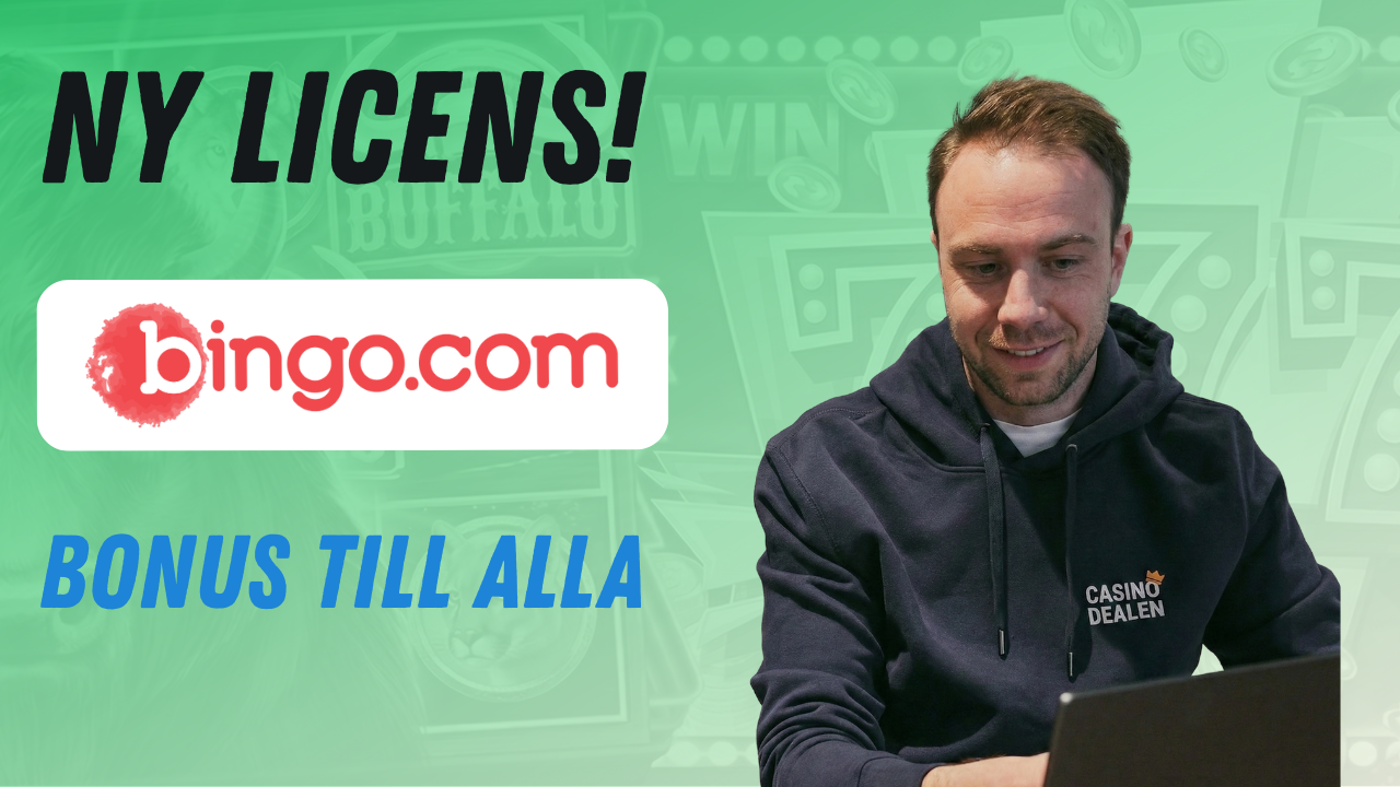 BINGO COM NY