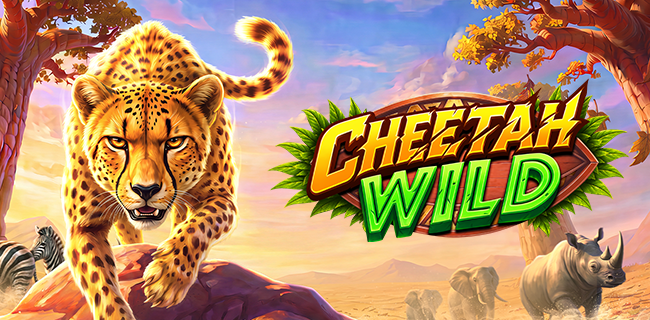 Cheetah Wild